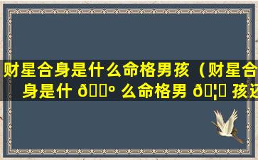 财星合身是什么命格男孩（财星合身是什 🌺 么命格男 🦊 孩还是女孩）